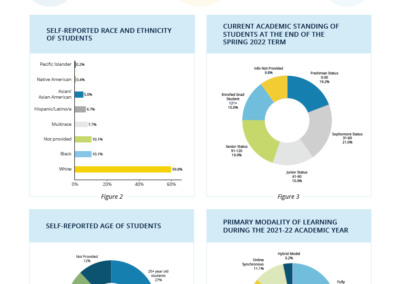 College Innovation Network Survey Reports